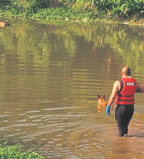 body found in daytona beach today|body found floating in river.